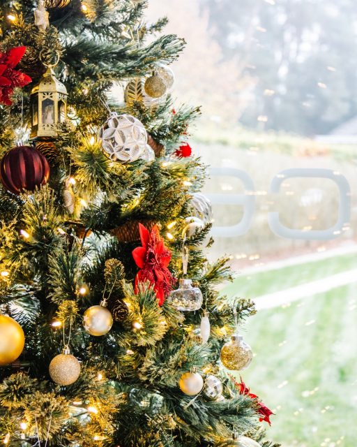 Ook dit jaar maken we Concept55 weer extra gezellig vanaf november! 🎄 Van kleinschalige vieringen tot bedrijfsmeetings, photoshoots: op de website ontdek je onze beschikbaarheden voor het eindejaar en de start van 2026. Mijn allerschattigste model (die nu zo klein niet meer is) toont alvast hoe de ruimte er vorig jaar uitzag in een kerstjasje. 
Foto's: @studiocreav 
#keerbergen #mijnkeerbergen #haacht #herent #bonheiden #rijmenam #aarschot #rotselaar #werchter #vlaamsbrabant #kampenhout #ondernemen #ondernemendevrouwen #ikkooplokaal #vergaderruimte #eventruimte #fotoshootlocatie #fotoshoot #fotografie #fotograaf #Belgischefotograaf #productfotografie #fotoshootruimte #kerstdagen #kerstmis #kerstshoot #kerstdecoratie